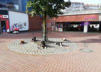 Hundegruppe in Fußgängerzone